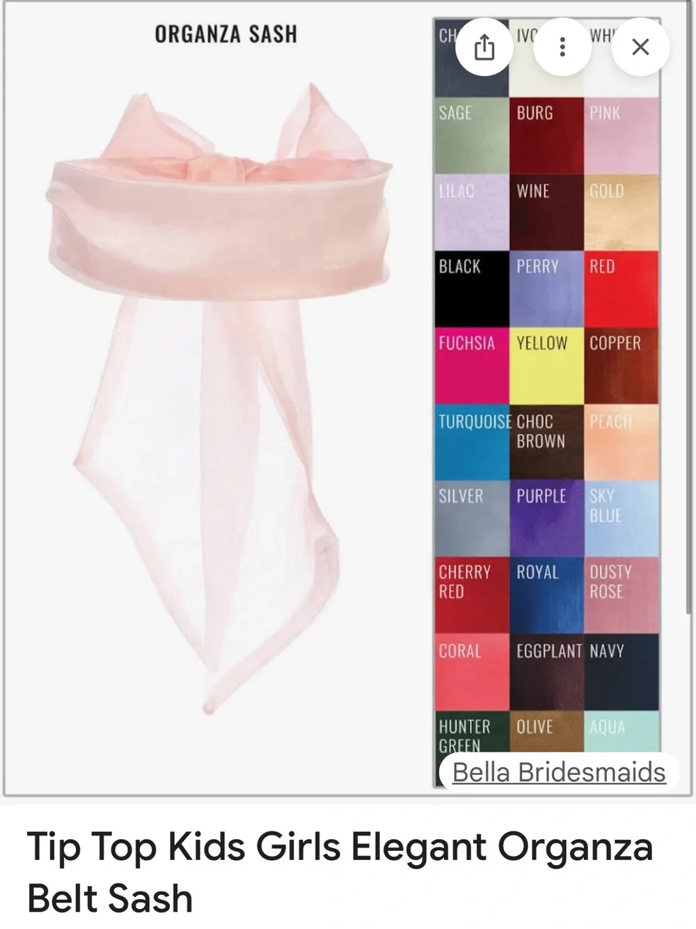 Tip Top Kids Chocolate Brown Sheer Organza Sash